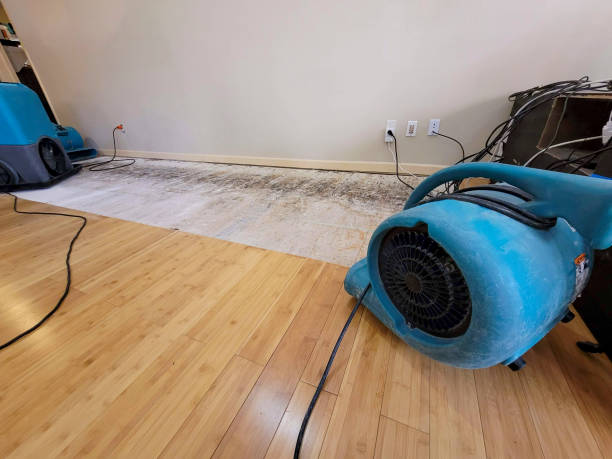 Professional Water Damage Repair technician working in Aberdeen, IN